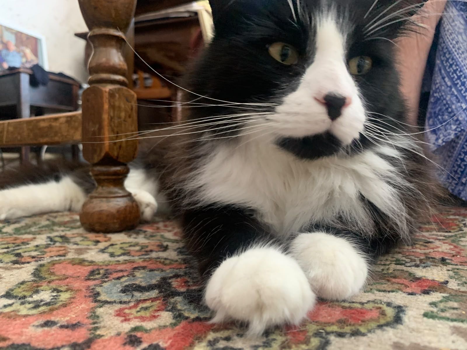 Winston