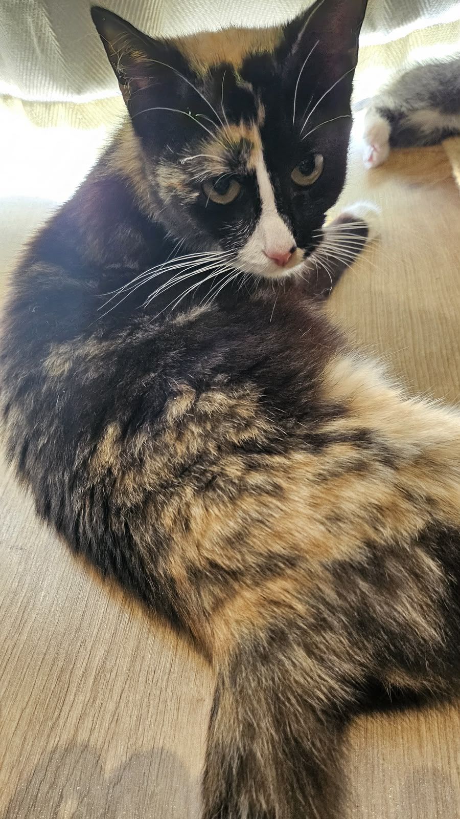 Kiki
